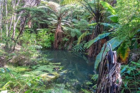 Photo of property in 458f Hihi Road, Hihi, Mangonui, 0494