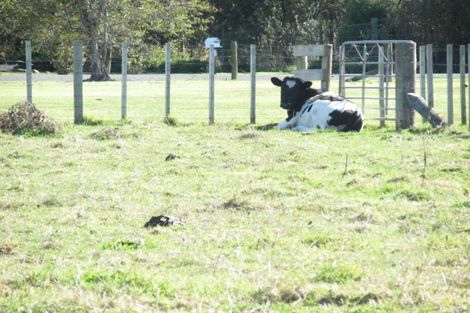 Photo of property in 140 Mclean Street, Wairoa, 4108
