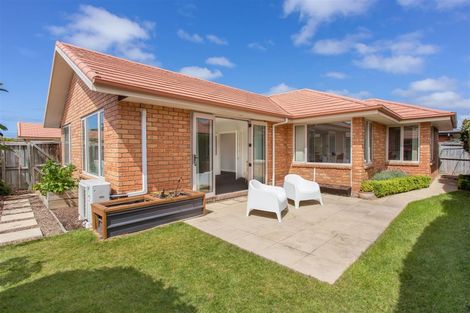 Photo of property in 602 Madras Street, St Albans, Christchurch, 8014