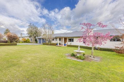 Photo of property in 208 Porangahau Road, Waipukurau, 4200