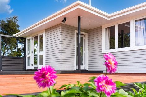 Photo of property in 308b Arapaoa Road, Tinopai, Matakohe, 0593