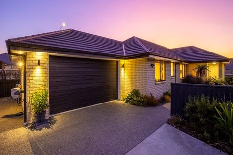 Photo of property in 10 Carmello Grove, Richmond, 7020