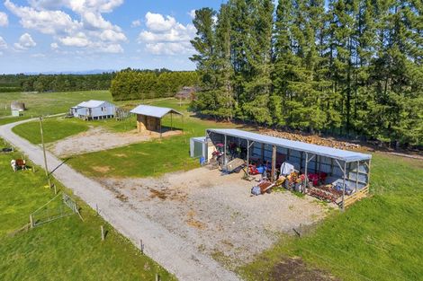 Photo of property in 185 Worlingham Road, Eyrewell, Rangiora, 7476