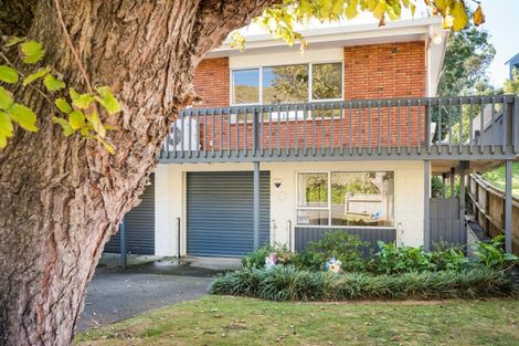 Photo of property in 6 Glasgow Terrace, Feilding, 4702