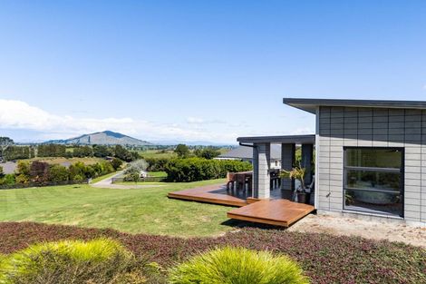 Photo of property in 134 Hanning Road, Pirongia, Te Awamutu, 3876