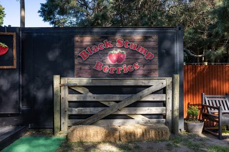 Photo of property in 529b Te Puke Highway, Te Puke, 3187