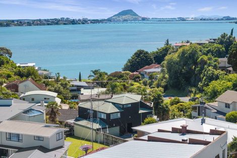 Photo of property in 202 Maungatapu Road, Maungatapu, Tauranga, 3112