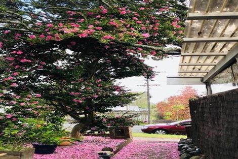 Photo of property in 1/8 Golf Road, New Lynn, Auckland, 0600