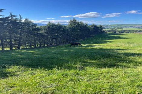 Photo of property in 1 Kellaway Terrace, Waikari, 7420