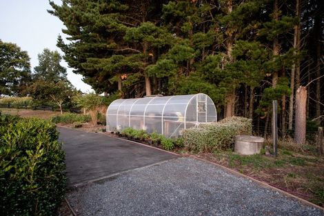 Photo of property in 808 French Pass Road, Karapiro, Cambridge, 3496