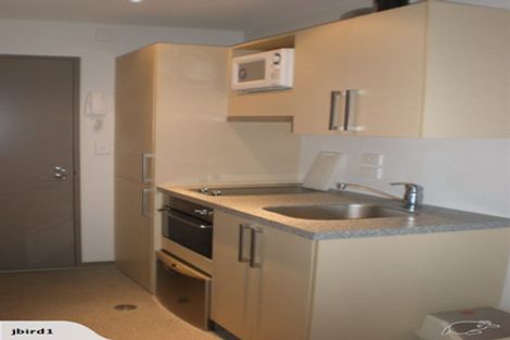 Photo of property in Dual Apartments, 108/142u Vivian Street, Te Aro, Wellington, 6011
