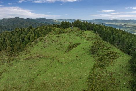Photo of property in Holdsworth Road, Homebush, Masterton, 5810