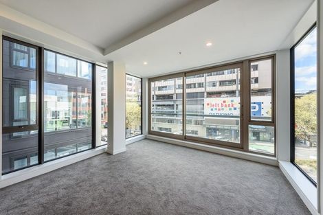 Photo of property in Vsp South, 206/168u Victoria Street, Te Aro, Wellington, 6011