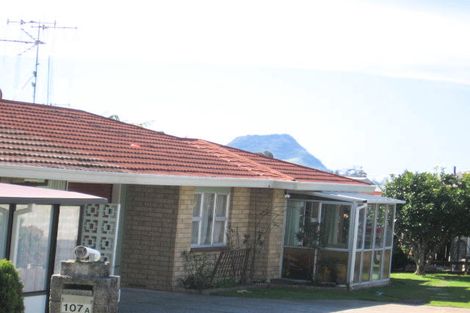 Photo of property in 107a Laurence Street North, Gate Pa, Tauranga, 3112