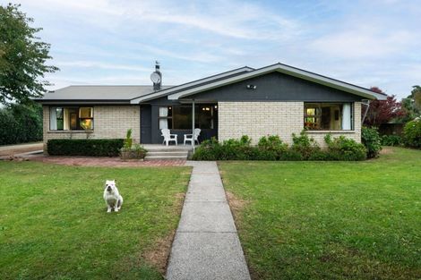 Photo of property in 964 Crozier Street, Pirongia, 3802