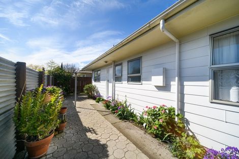 Photo of property in 633b Ferguson Street, Terrace End, Palmerston North, 4410