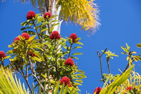 Photo of property in 67 Pinehurst Drive, Pauanui, Hikuai, 3579