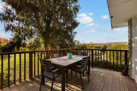Photo of property in 217 Manuherikia Road, Springvale, Alexandra, 9393