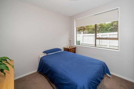 Photo of property in 17 Millstream Drive, Lincoln, 7608
