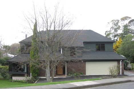 Photo of property in 55 Mchardy Street, Havelock North, 4130