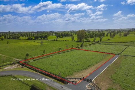 Photo of property in 141 Bellevue Road, Matangi, Hamilton, 3284