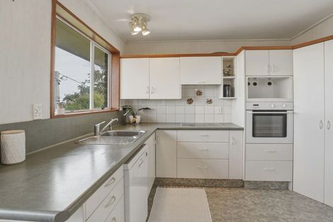 Photo of property in 28a Sheen Street, Roslyn, Dunedin, 9010