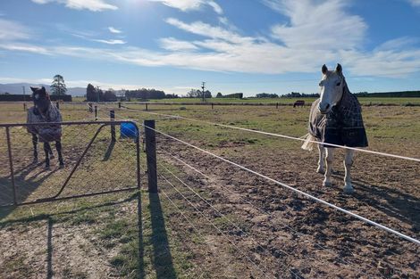 Photo of property in 8 Minnie Street, Waimate, 7980