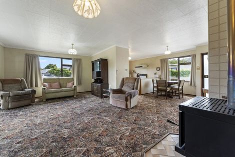 Photo of property in 19 Wicklow Street, Cromwell, 9310