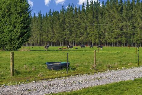 Photo of property in 185 Worlingham Road, Eyrewell, Rangiora, 7476
