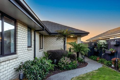 Photo of property in 10 Carmello Grove, Richmond, 7020