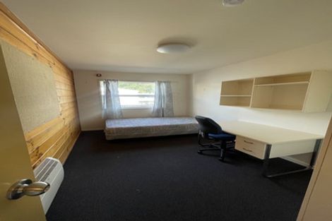Photo of property in Drummond Street Flats, 19u5 Drummond Street, Mount Cook, Wellington, 6021