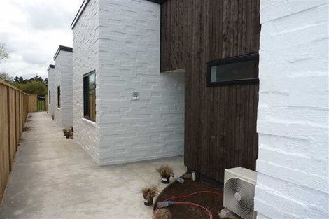 Photo of property in 162u3 Massey Street, Frankton, Hamilton, 3204