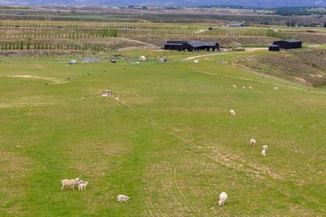 Photo of property in 39 Kordia Way, Waikerikeri, Alexandra, 9391