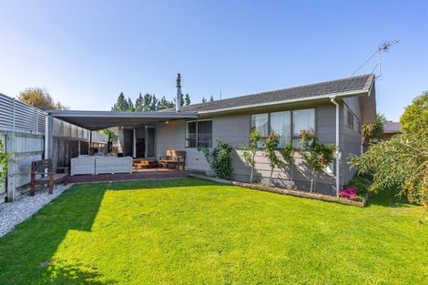 Photo of property in 20 Atkinson Street, Masterton, 5810