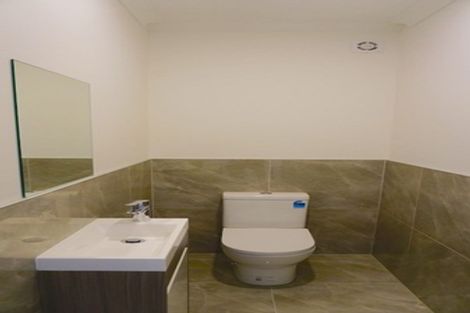 Photo of property in 13 Demeter Street, Flat Bush, Auckland, 2019