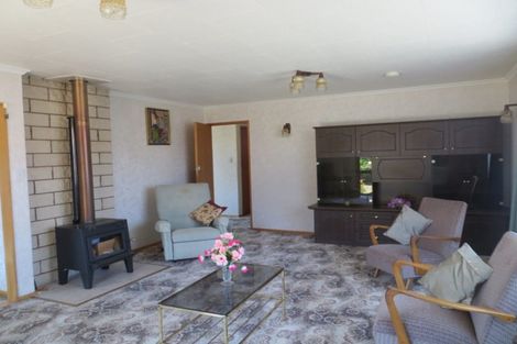 Photo of property in 51 John Street, Ranfurly, 9332