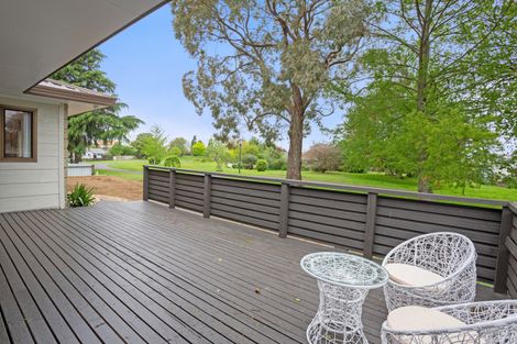 Photo of property in 17 Inaka Place, Matamata, 3400