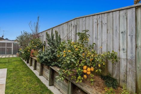 Photo of property in 10 Banksia Lane, Whakatane, 3120