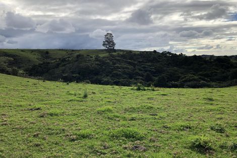 Photo of property in 698 Pungaere Road, Waipapa, Kerikeri, 0295