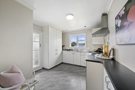 Photo of property in 96 Tiro Tiro Road, Levin, 5510