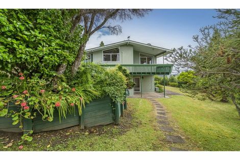 Photo of property in 101 Oakley Crescent, Thames, 3500