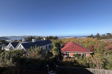 Photo of property in 28a Sheen Street, Roslyn, Dunedin, 9010