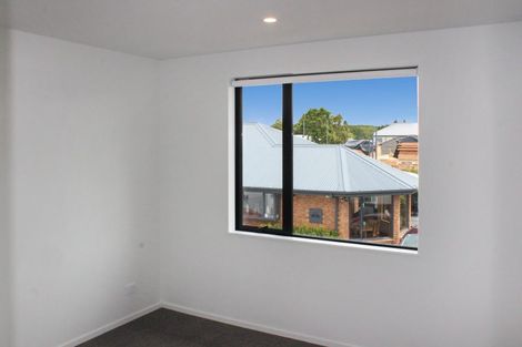 Photo of property in 167c Geraldine Street, Edgeware, Christchurch, 8013