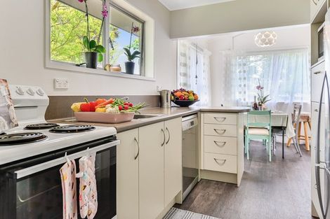 Photo of property in 13 Cowen Place, Chartwell, Hamilton, 3210