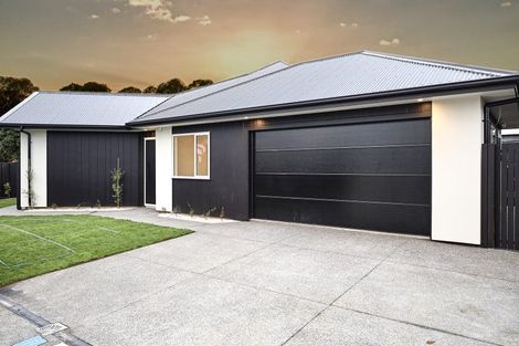 Photo of property in 1 Samuel Place, Terrace End, Palmerston North, 4410