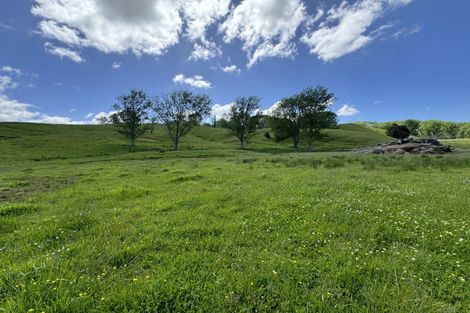 Photo of property in 445 Avoca Road, Mamaranui, Dargaville, 0372