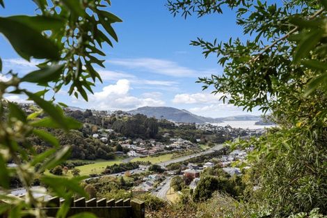 Photo of property in 46 Waimea Avenue, Calton Hill, Dunedin, 9012