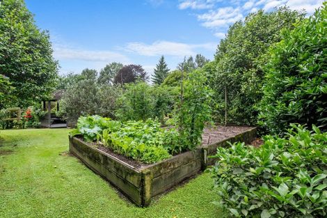 Photo of property in 7 Hector Place, Sunnybrook, Rotorua, 3015
