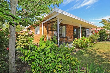 Photo of property in 3/33 Avondale Road, Taradale, Napier, 4112