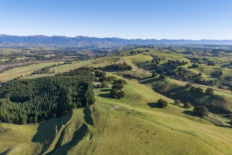 Photo of property in 613 Blackburn Road, Ongaonga, 4278